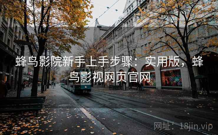 蜂鸟影院新手上手步骤：实用版，蜂鸟影视网页官网