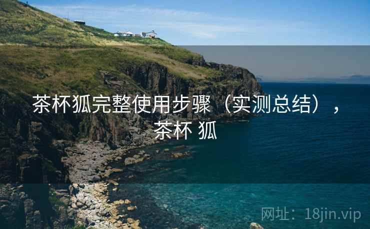 茶杯狐完整使用步骤(实测总结),茶杯 狐