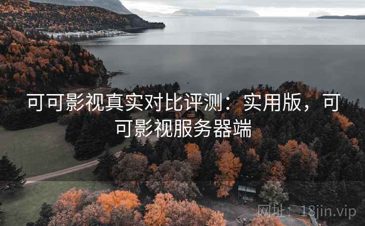 可可影视真实对比评测:实用版,可可影视服务器端